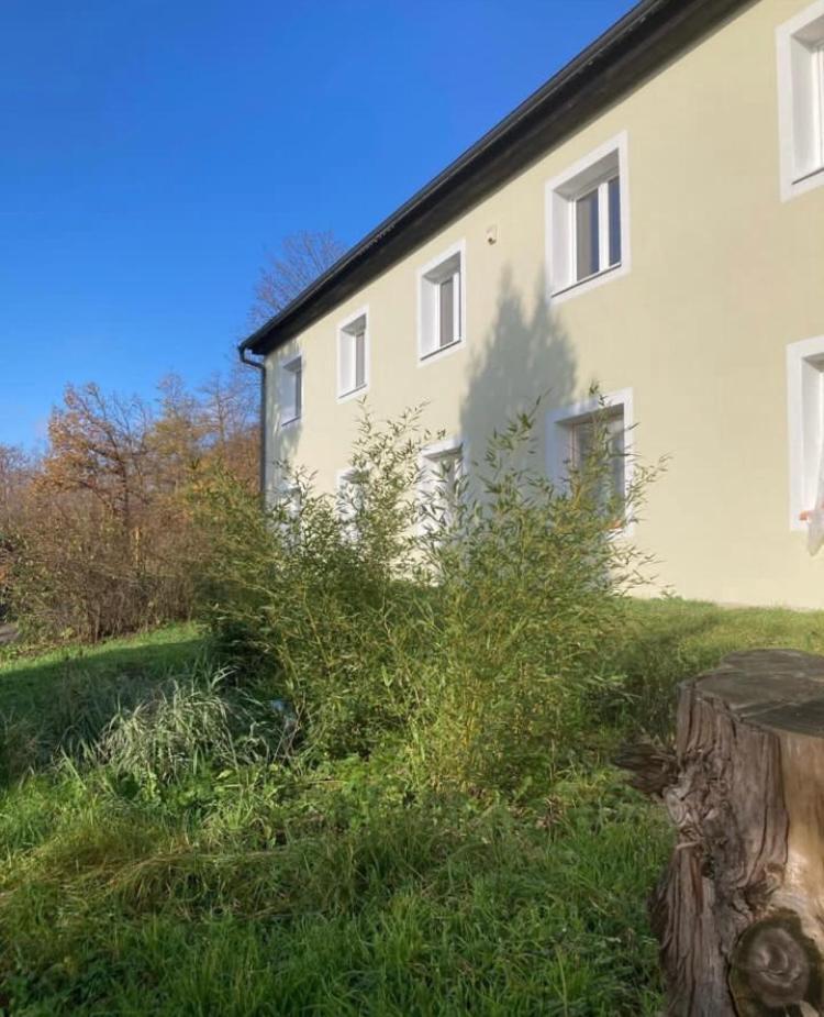 Penzion Cholin Novy Knin Exterior photo